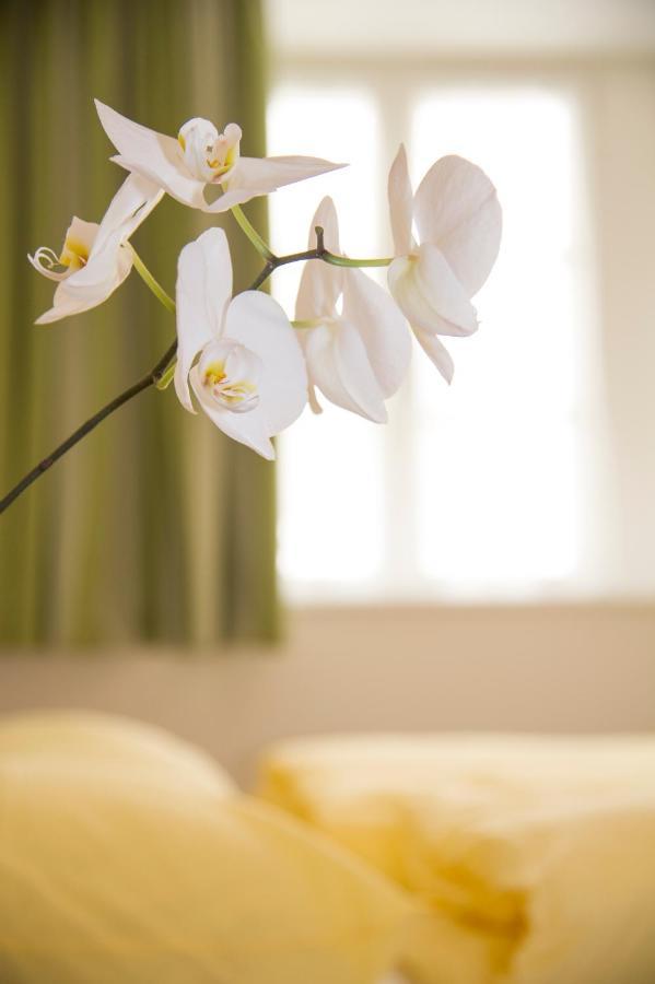 San Paolo  B&B Zum Guten Tropfen מראה חיצוני תמונה